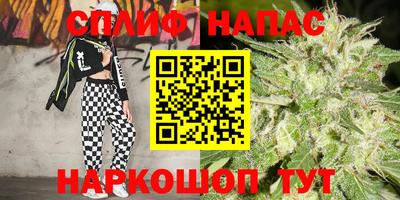 сатива Тулун