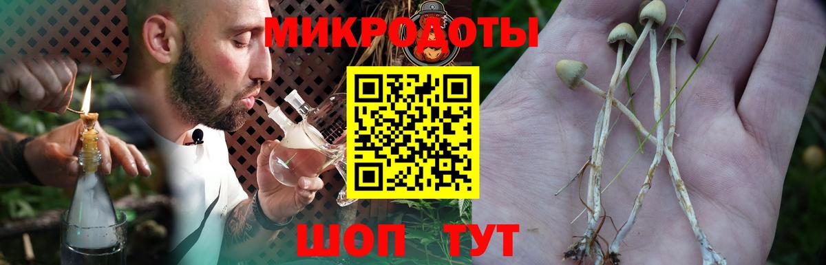 где найти наркотики  Вход с VPN  Алексеевка  Псилоцибиновые грибы Psilocybe 